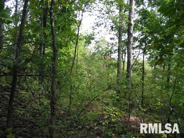 Tbd Suchman Road Ava, IL 62907 - Photo 2 of 3 Gallery Image 2