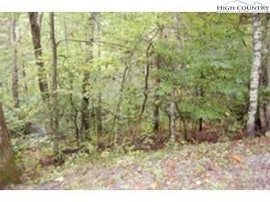 128 Ivy Road Newland, NC 28657 - Photo 1 of 3 a view of a yard