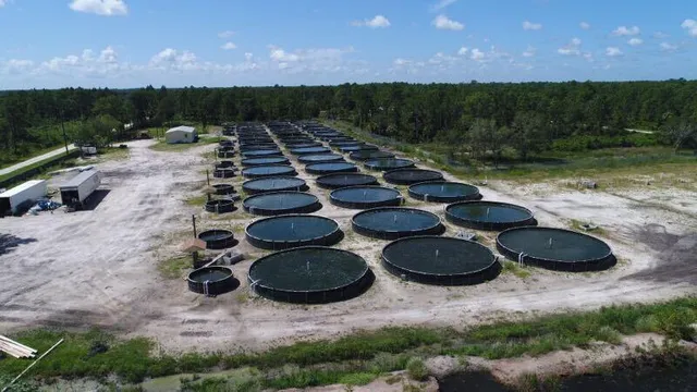 a view of outdoor space and patio