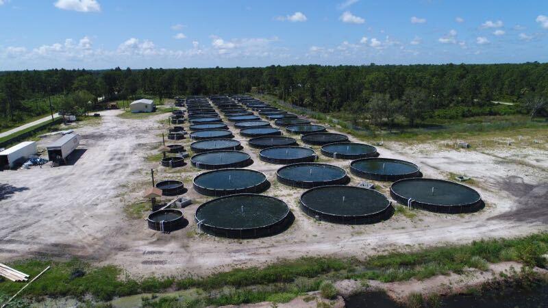 a view of outdoor space and patio