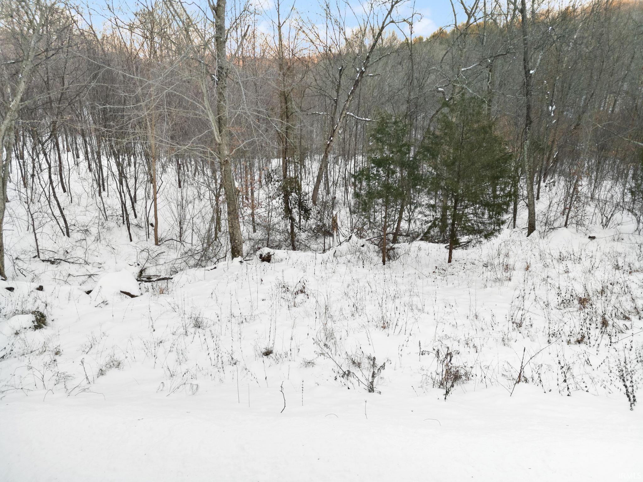 0 Co Road West Baden Springs, IN 47469 - Photo 11 of 20