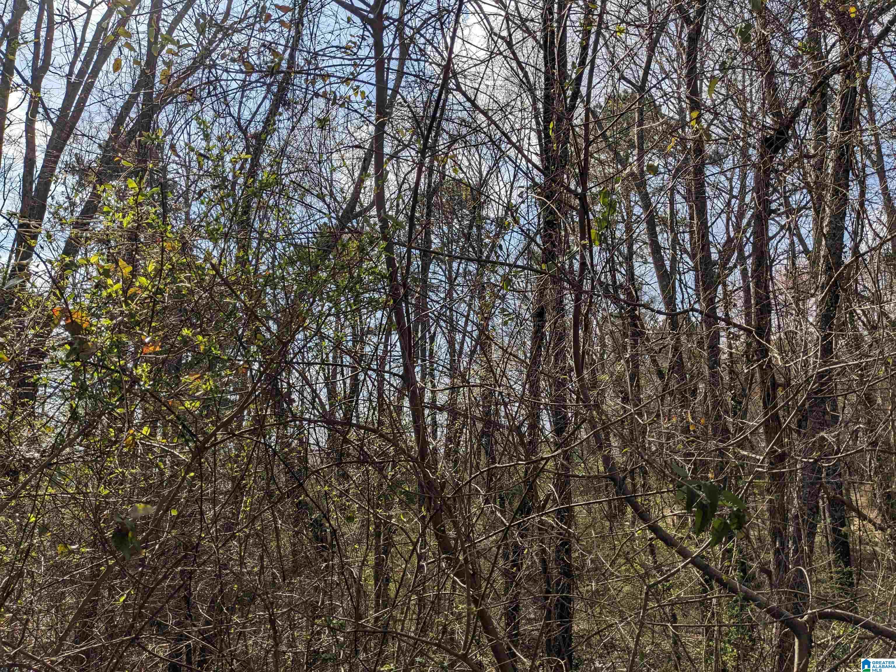 0 Hathaway Heights Road, Unit 2 & 3 Anniston, AL 36207 - Photo 27 of 30