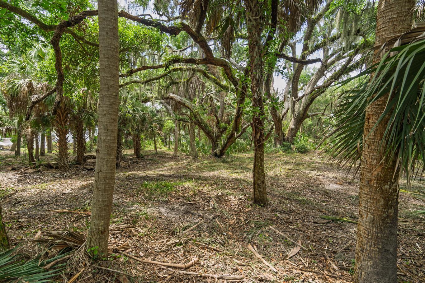 3322 Myrtle Street Edisto Island, SC 29438 - Photo 6 of 26