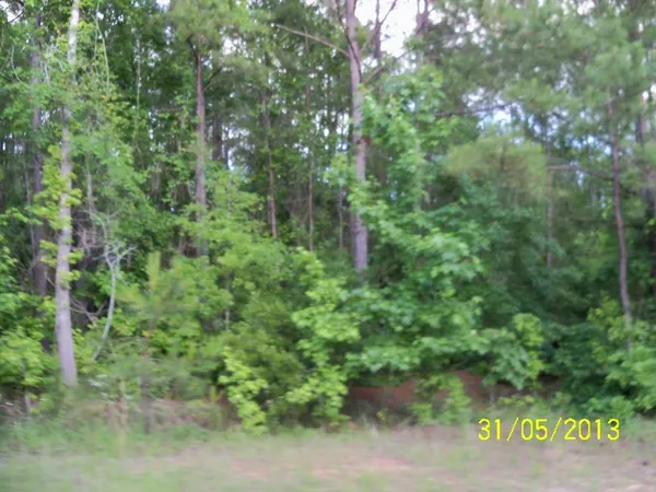 $269,000 | 0 Old Louvale Road, Cusseta, GA 31805