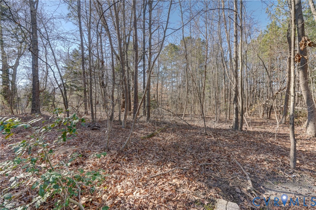 20905 Matoaca Road Petersburg, VA 23803 - Photo 4 of 6