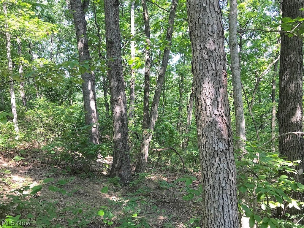 West Boyd Hall Road Piedmont, OH 43983 - Photo 19 of 35 Gallery Image 19