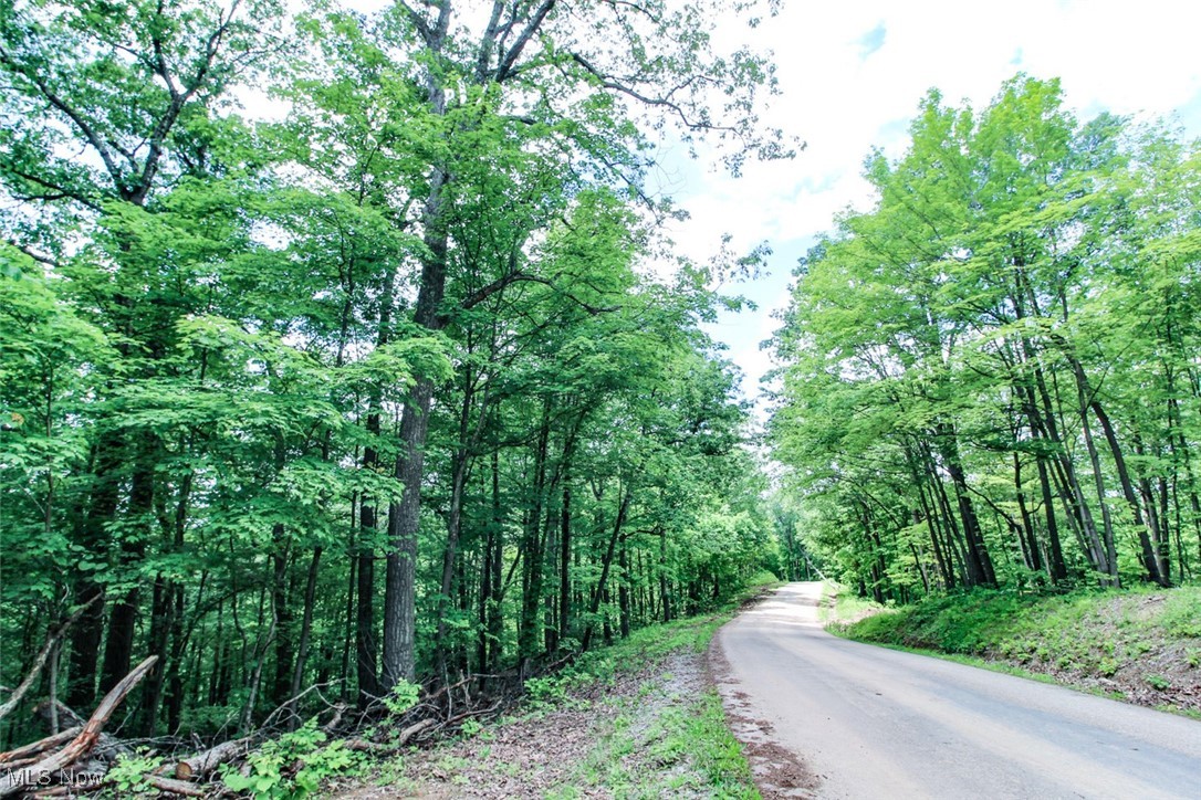 19 Zion Ridge Road Marietta, OH 45750 - Photo 15 of 19 View of asphalt road with a view of trees