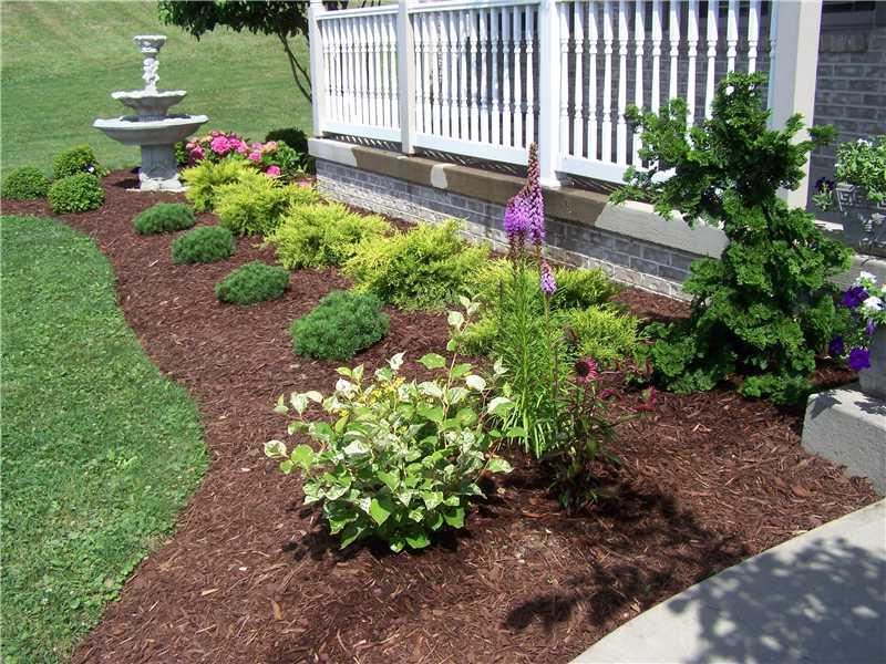 467 Wises Grove Road New Brighton, PA 15066 - Photo 17 of 19 Yard/Garden. Another spring picture of landscaping.