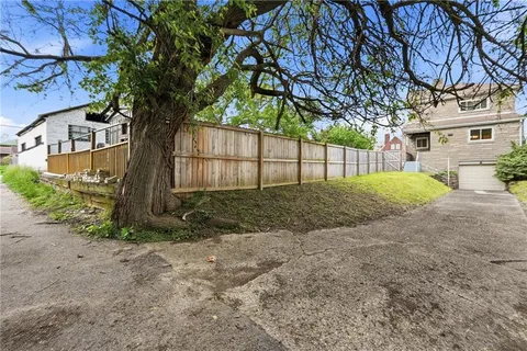 a view of a yard with a large tree