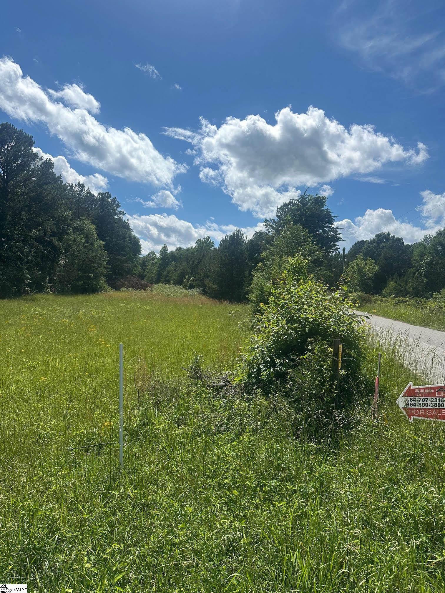 301 Sweet Gum Road Spartanburg, SC 29307 - Photo 11 of 13