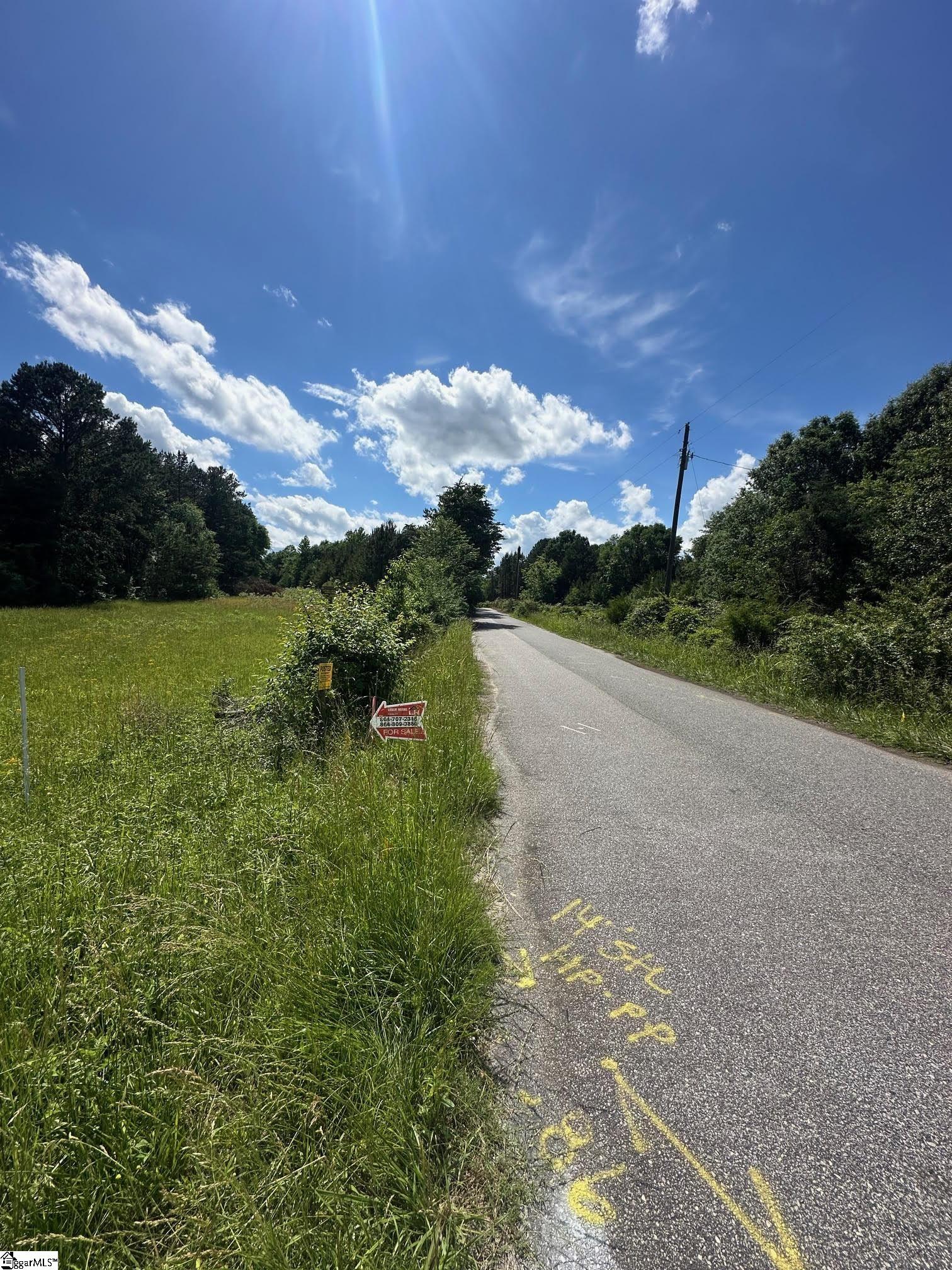 301 Sweet Gum Road Spartanburg, SC 29307 - Photo 12 of 13