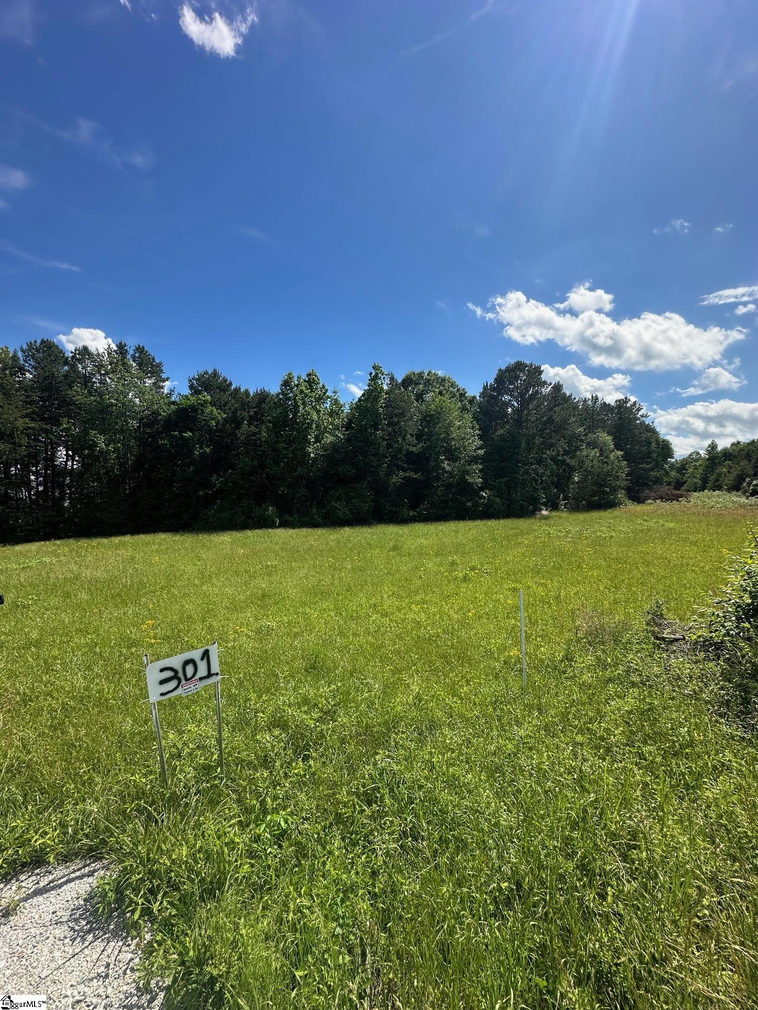 301 Sweet Gum Road Spartanburg, SC 29307 - Photo 13 of 13