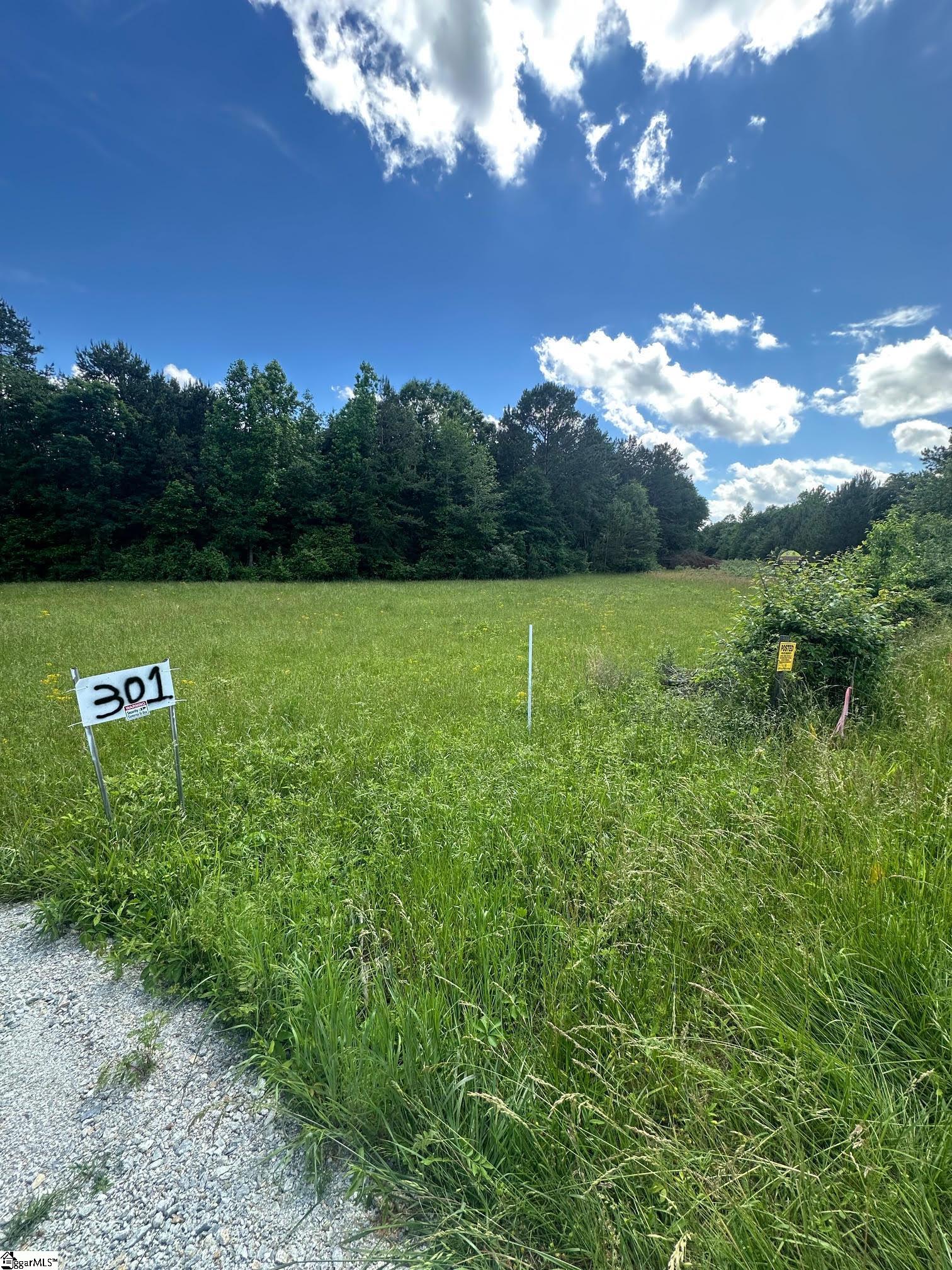 301 Sweet Gum Road Spartanburg, SC 29307 - Photo 2 of 13