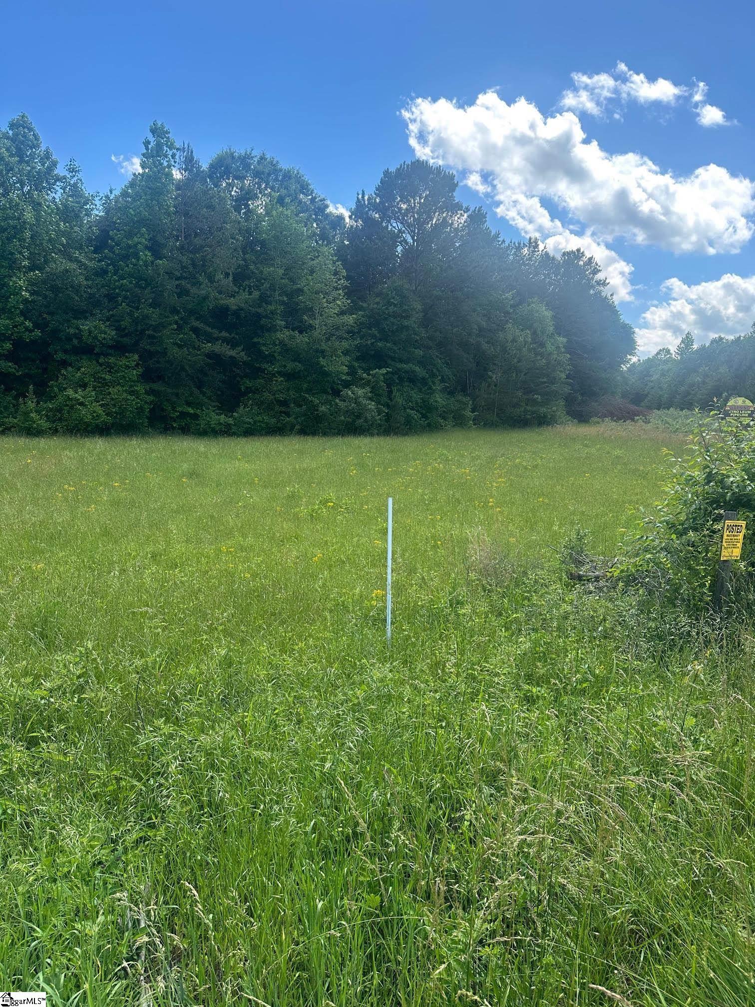 301 Sweet Gum Road Spartanburg, SC 29307 - Photo 3 of 13