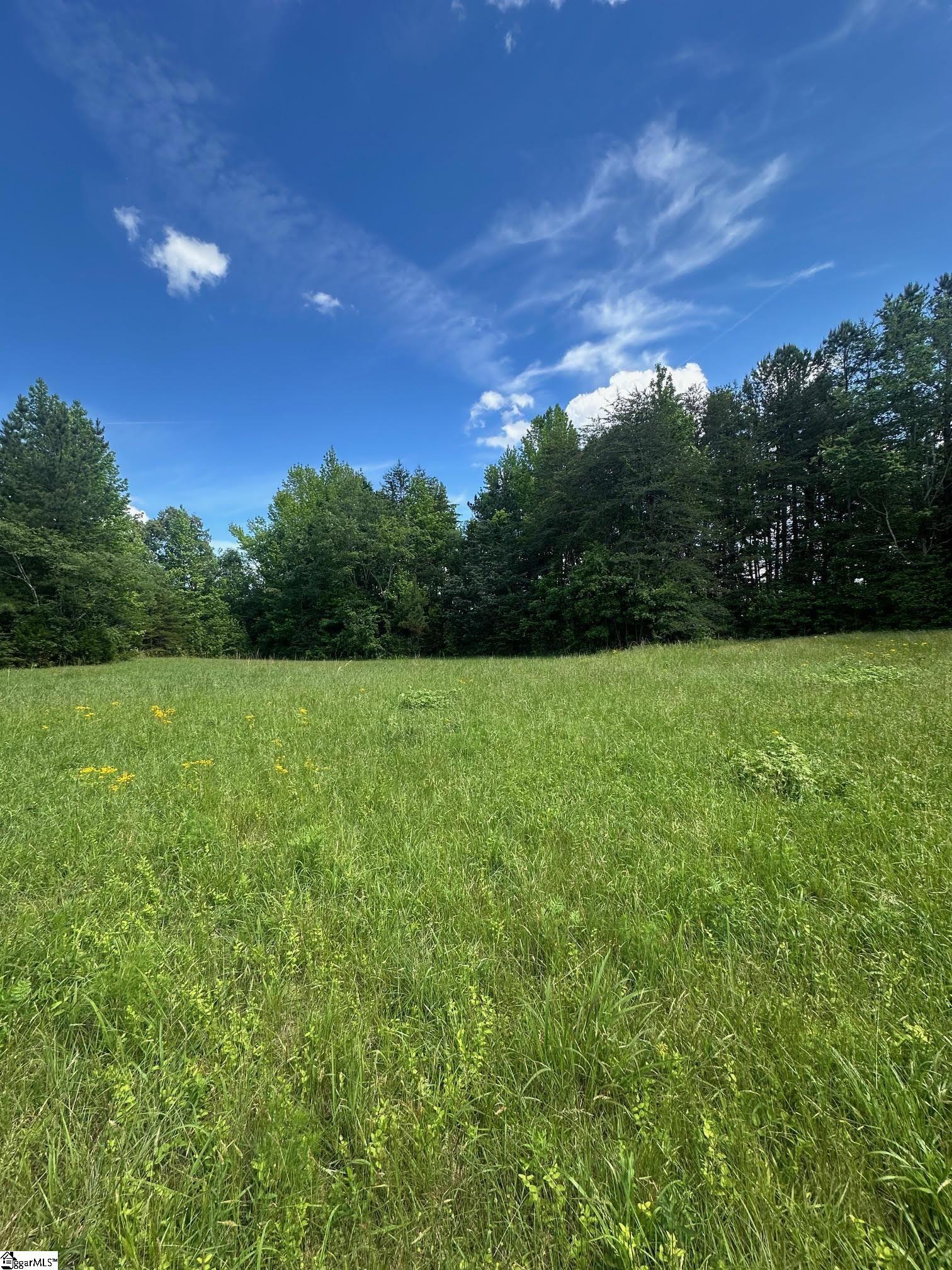 301 Sweet Gum Road Spartanburg, SC 29307 - Photo 4 of 13