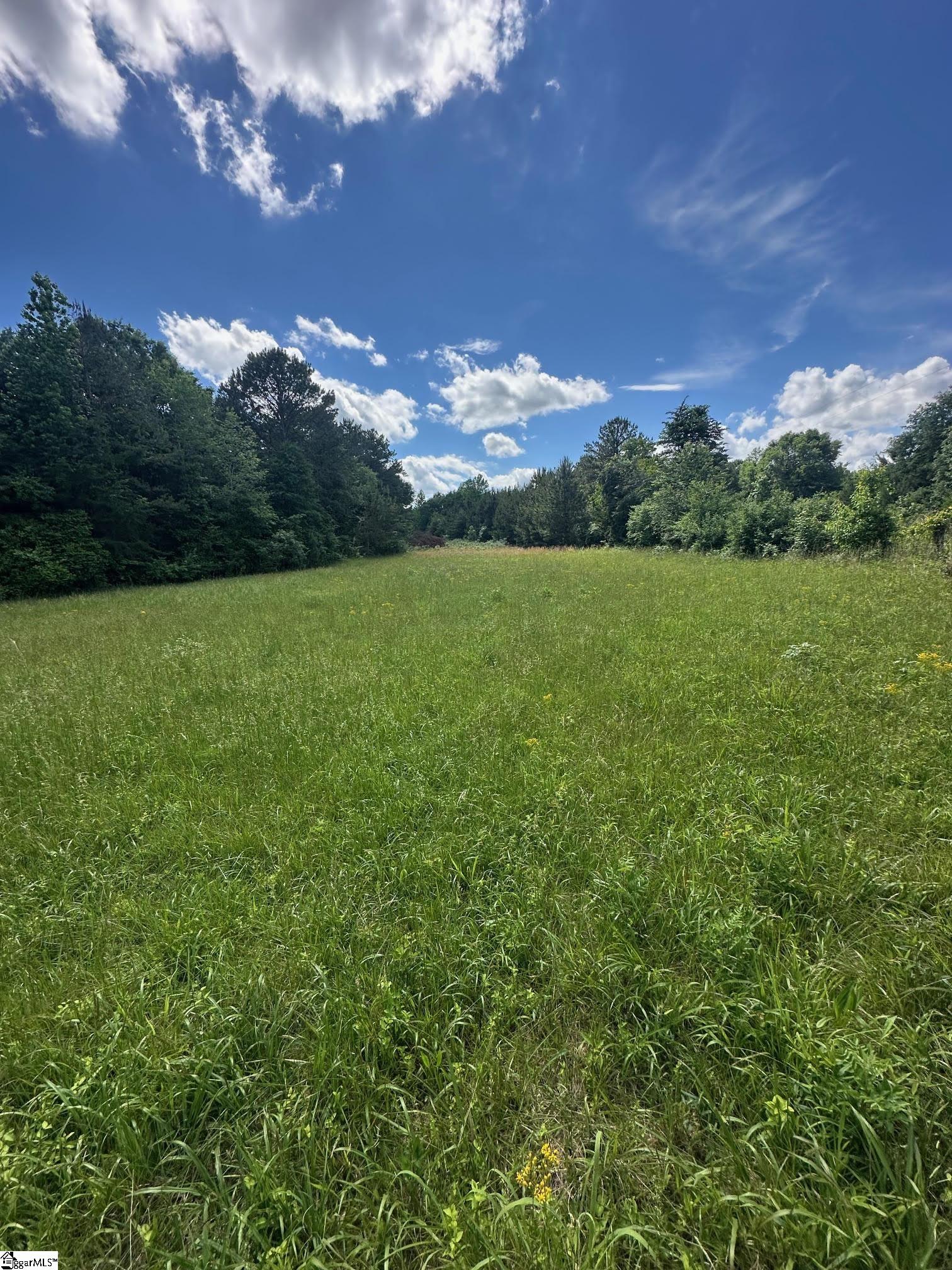 301 Sweet Gum Road Spartanburg, SC 29307 - Photo 5 of 13