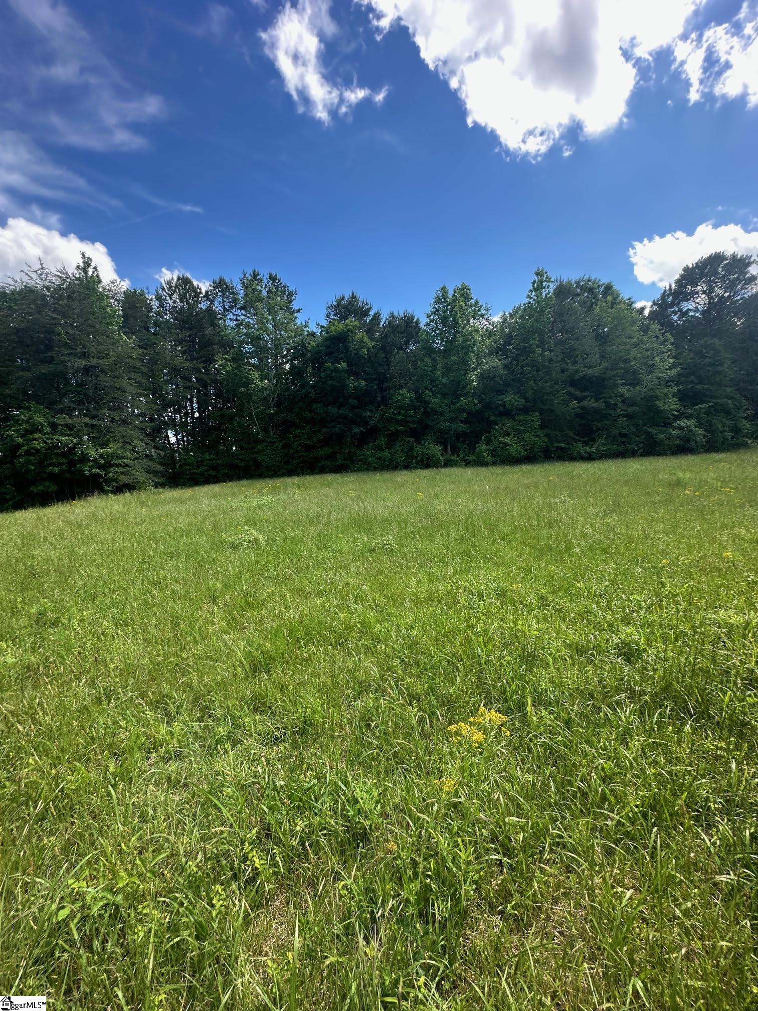 301 Sweet Gum Road Spartanburg, SC 29307 - Photo 6 of 13