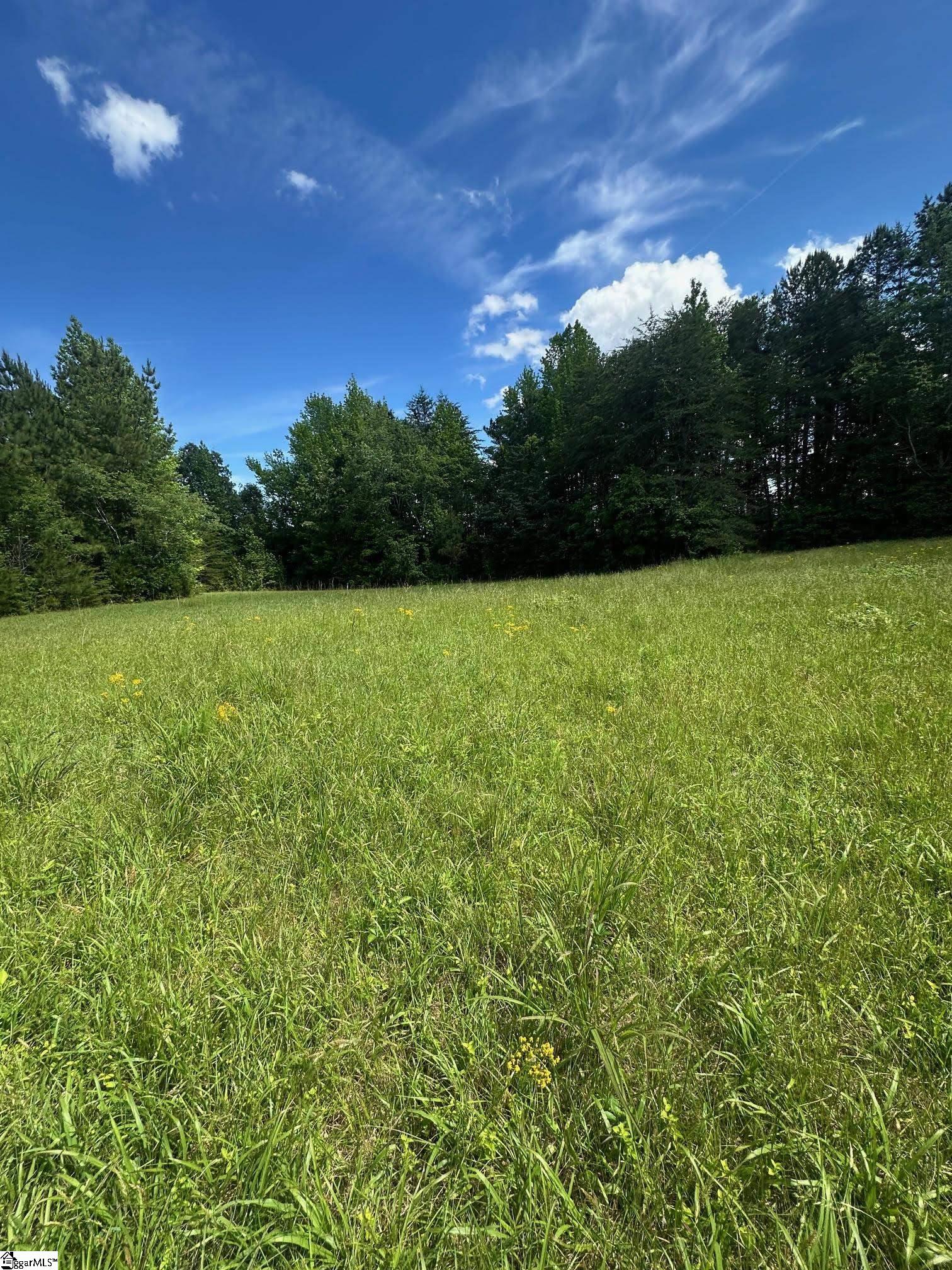 301 Sweet Gum Road Spartanburg, SC 29307 - Photo 7 of 13