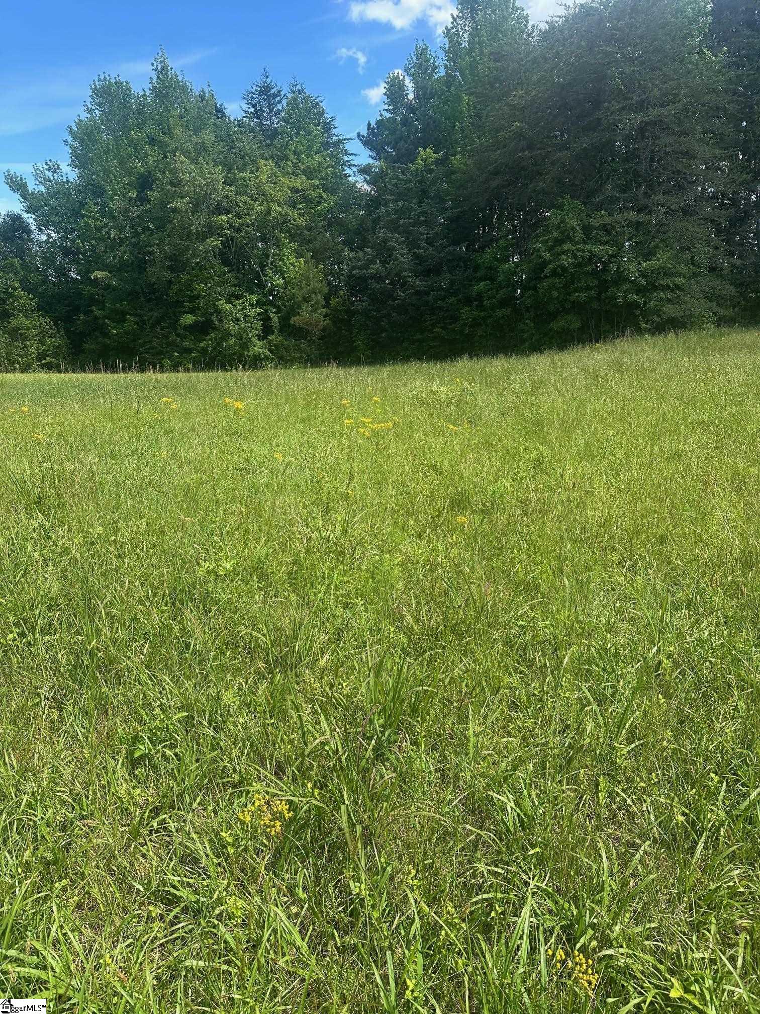 301 Sweet Gum Road Spartanburg, SC 29307 - Photo 8 of 13