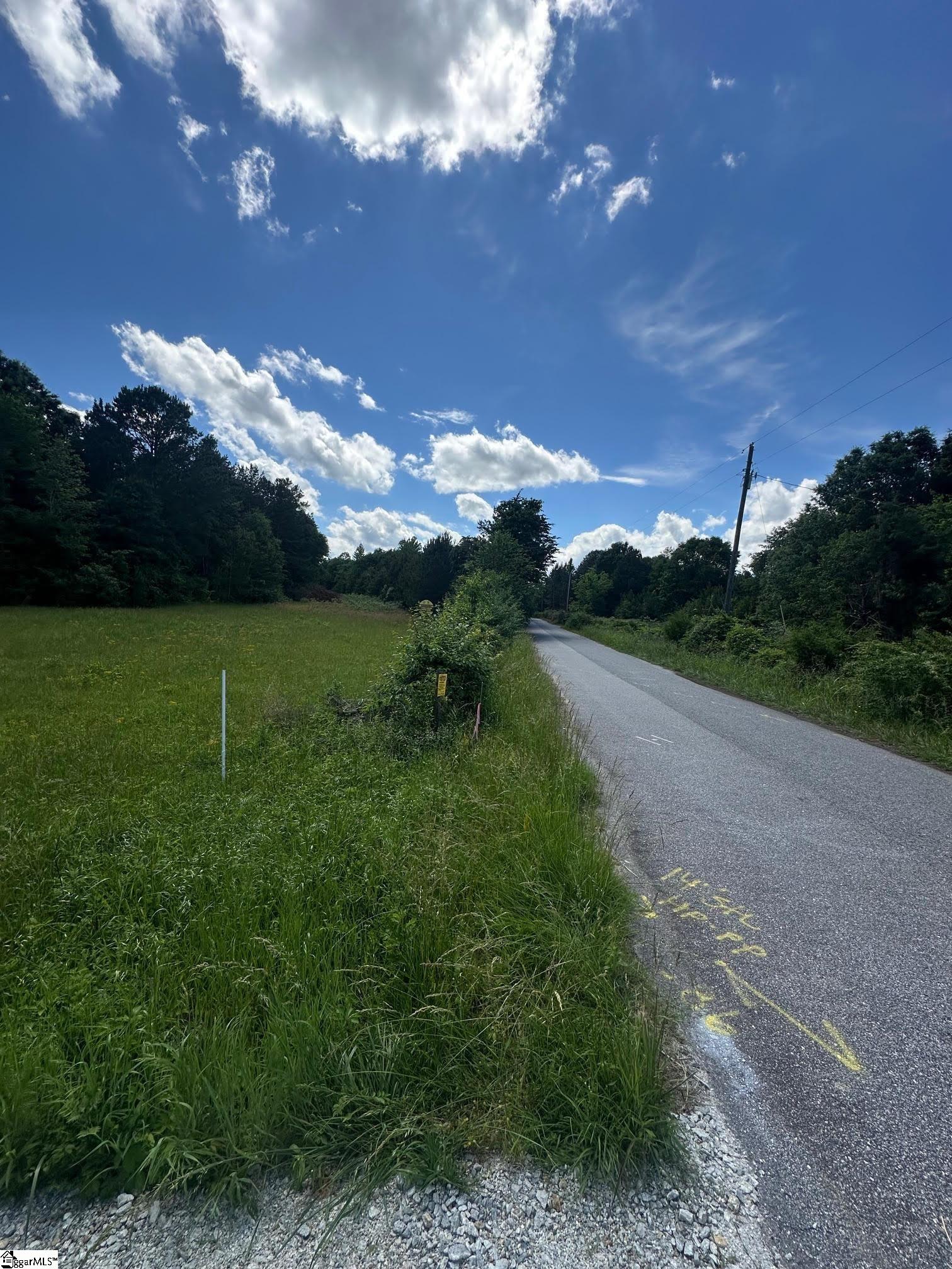 301 Sweet Gum Road Spartanburg, SC 29307 - Photo 10 of 13