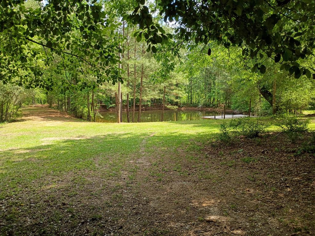 4004 Charlie Rhodus Road Magnolia, MS 39652 - Photo 25 of 34 Pond