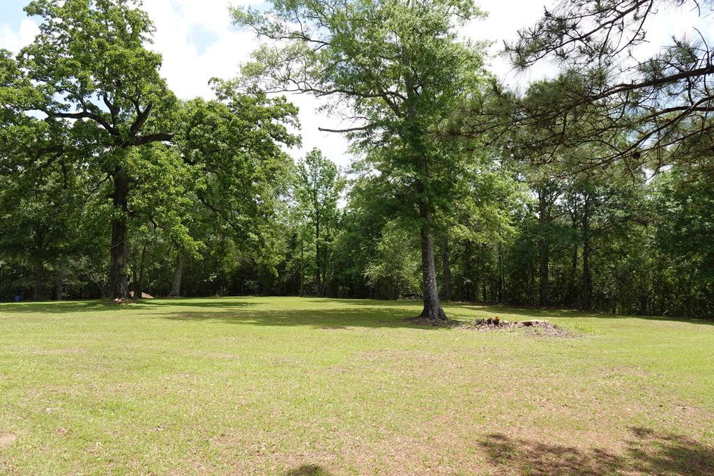 4004 Charlie Rhodus Road Magnolia, MS 39652 - Photo 28 of 34 Area by pond