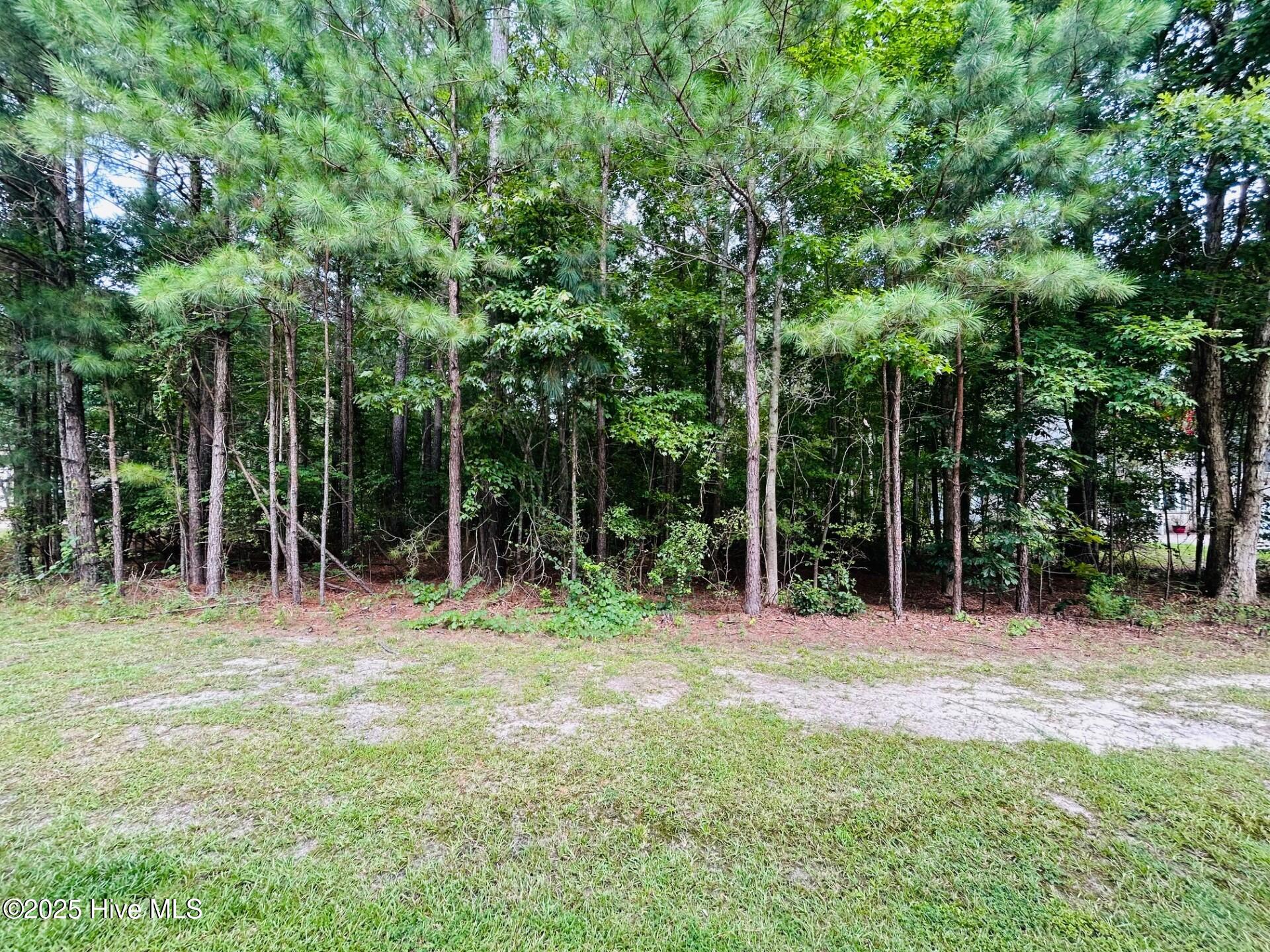 4 Boshers Point Drive Hertford, NC 27944 - Photo 1 of 3 Front