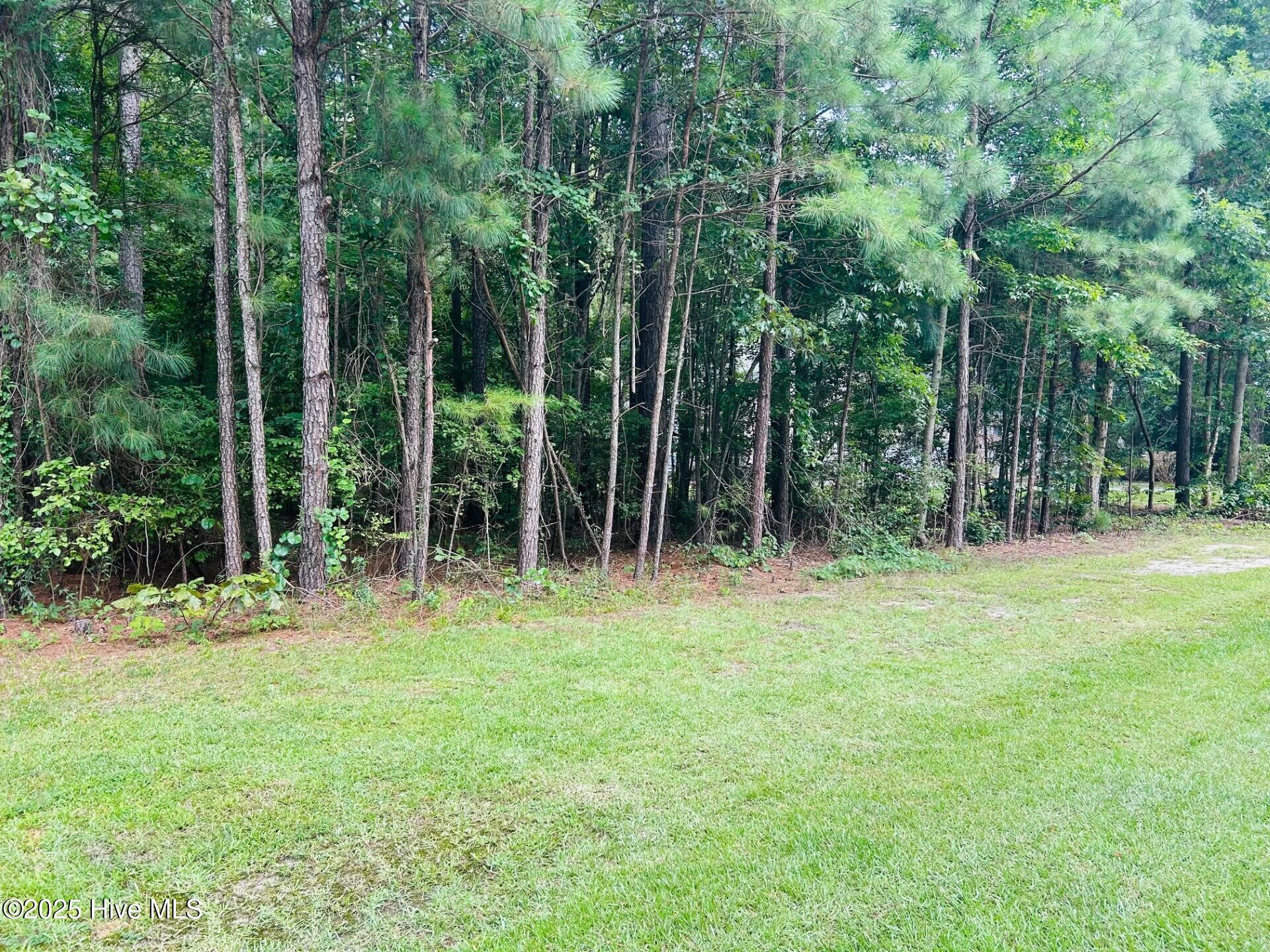 4 Boshers Point Drive Hertford, NC 27944 - Photo 2 of 3 EE-04 Left