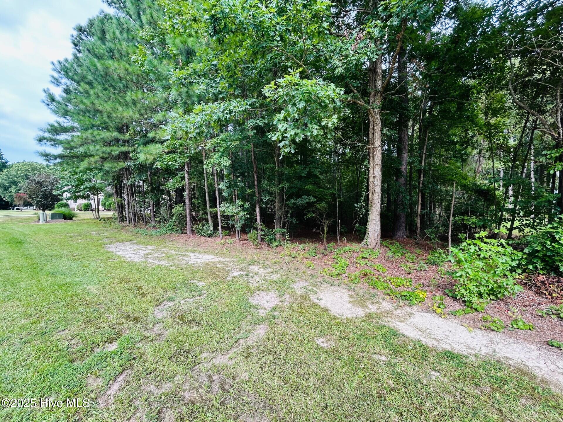 4 Boshers Point Drive Hertford, NC 27944 - Photo 3 of 3 EE-04 Right