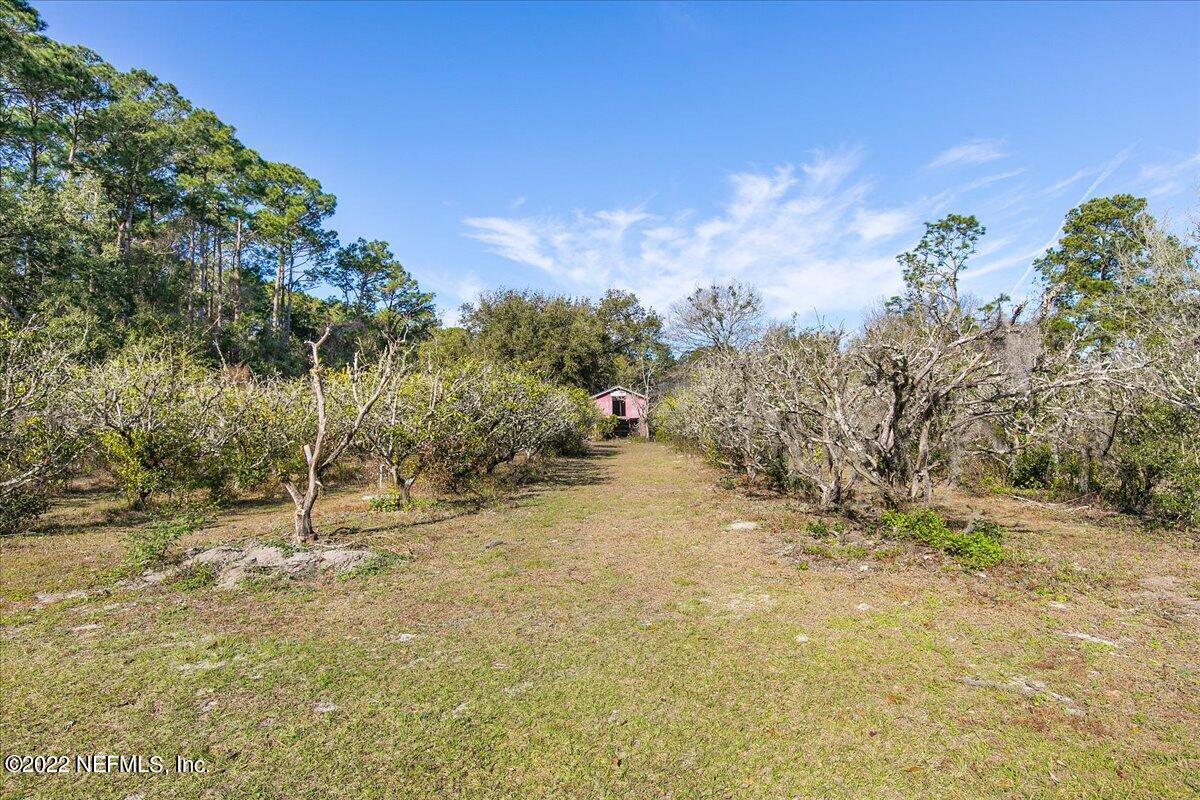 1939 Orange Picker Road Jacksonville, FL 32223 - Photo 29 of 30 29-Orange Grove