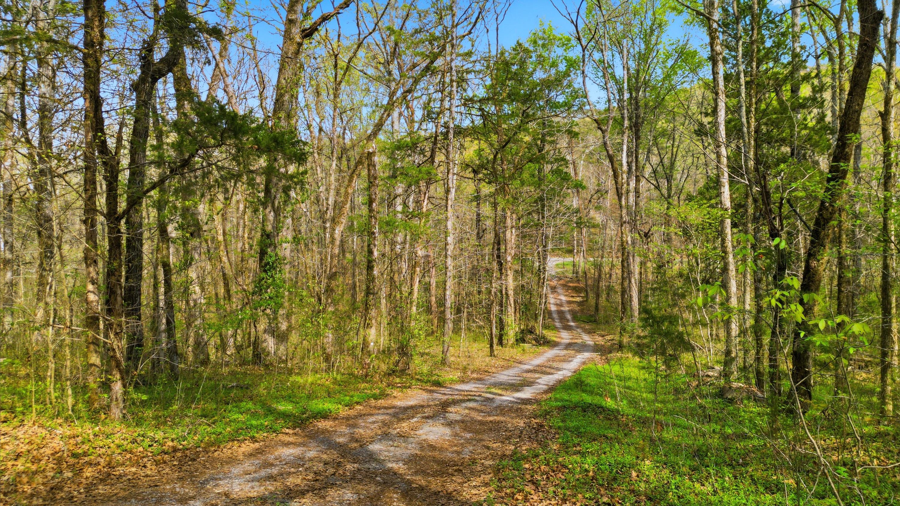 1544 Lamontville Road Decatur, TN 37322 - Photo 3 of 31 Driveway