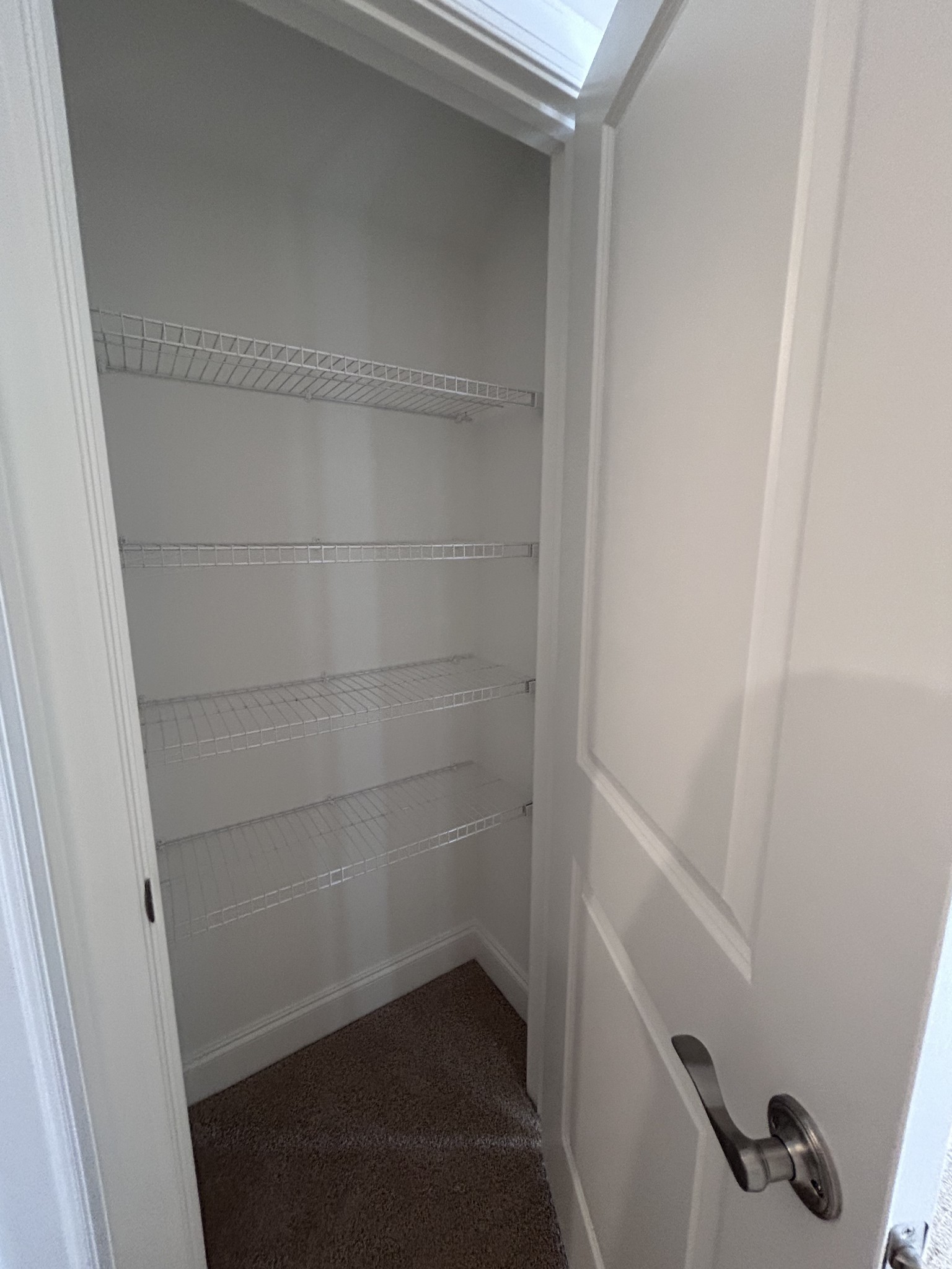 6502 Ripple Ridge Columbia, TN 38401 - Photo 48 of 52 a view of walk in closet