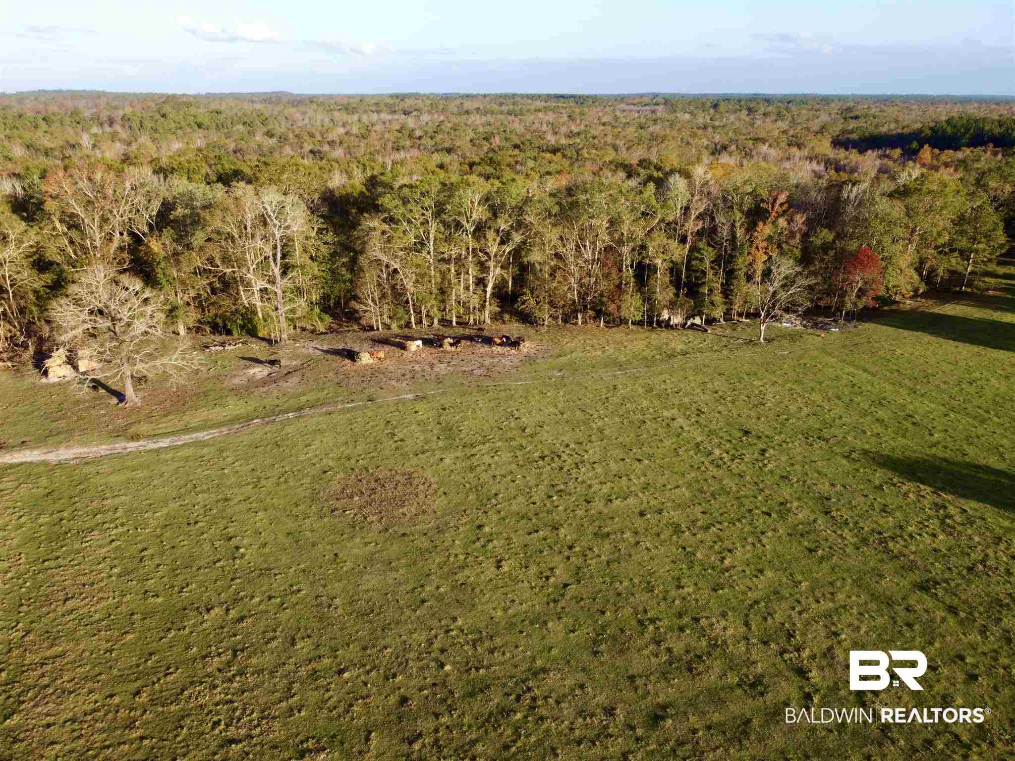0 Country Road Fruitdale, AL 36539 - Photo 14 of 47