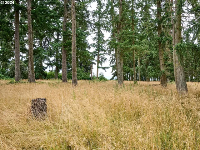 $1,475,000 | 29474 South S Highway, Canby, OR 97013