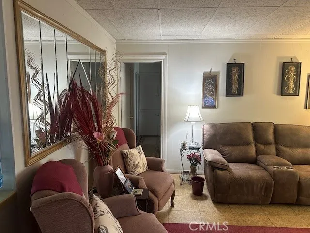 a living room with furniture a rug and a window