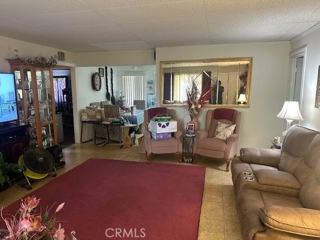 a living room with furniture potted plant and a window