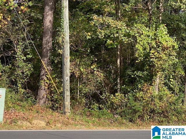 0 Sanie Road, Unit 1 Odenville, AL 35120 - Photo 1 of 1