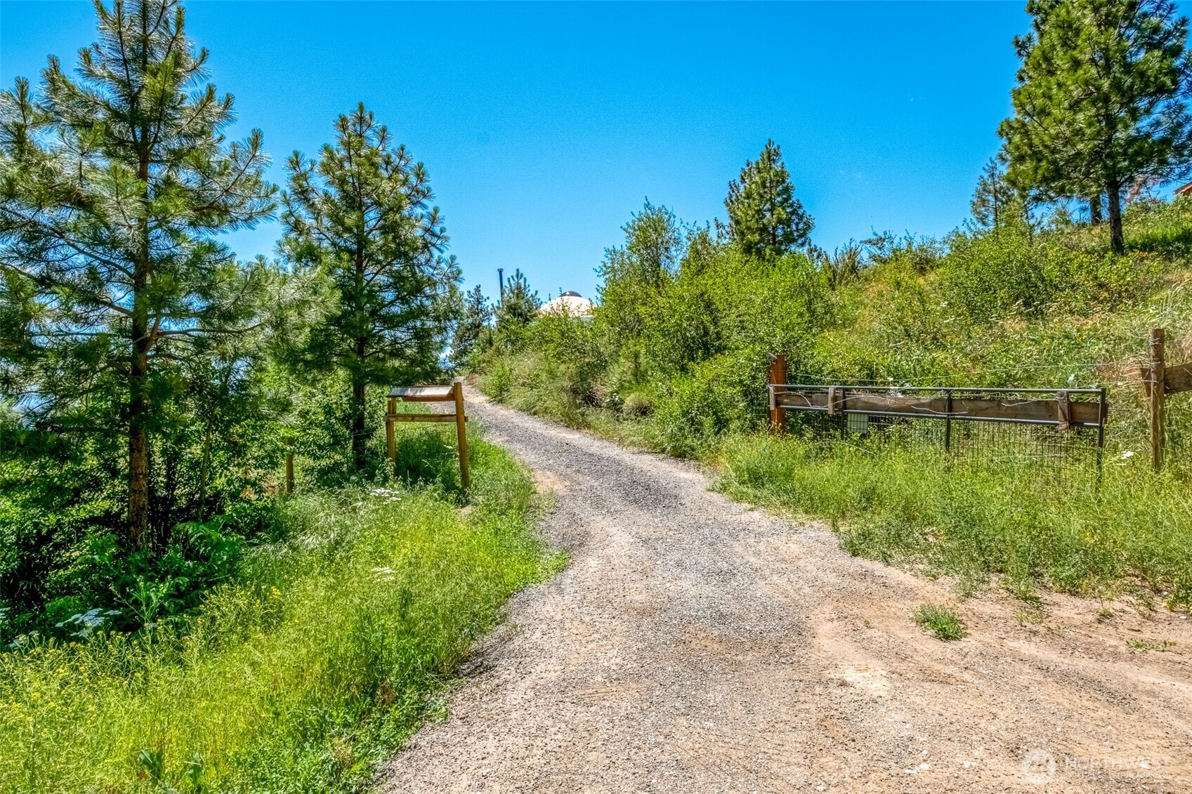 9750 Nahahum Canyon Road Cashmere, WA 98815 - Photo 12 of 22