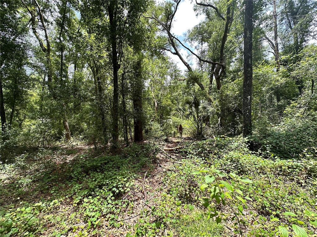 349 North County Road O'Brien, FL 32071 - Photo 9 of 13