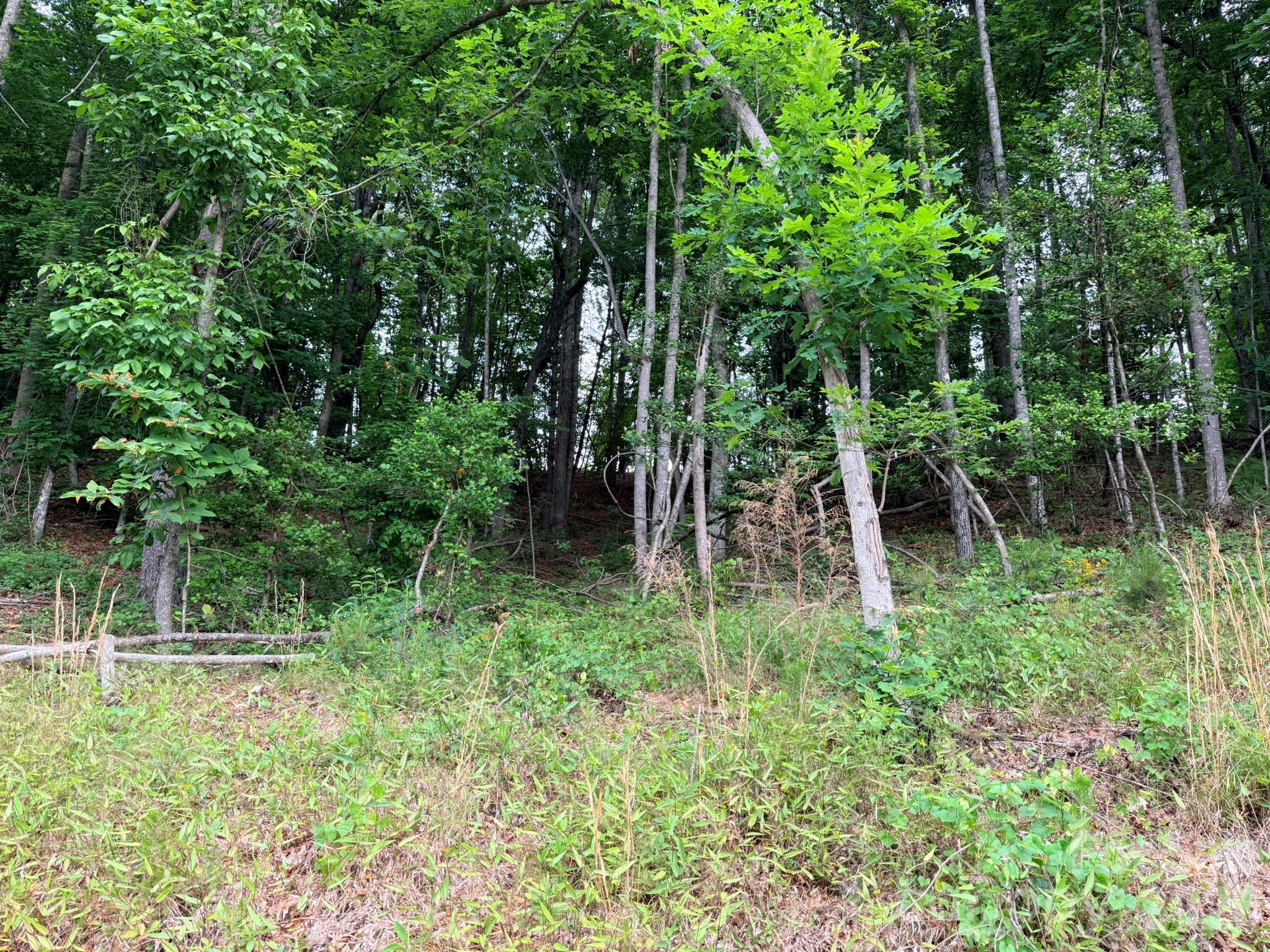 Tbd North Marley Ford Road Ferguson, NC 28624 - Photo 4 of 26