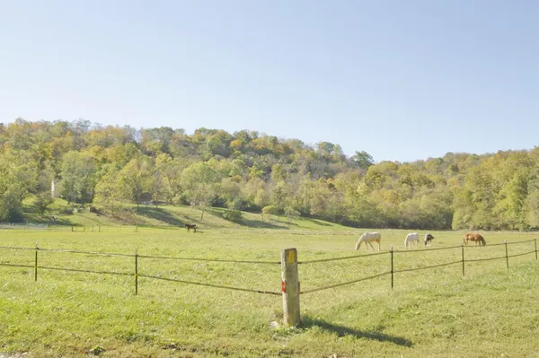 $599,900 | 7717 North Hogan Road, Aurora, IN 47001