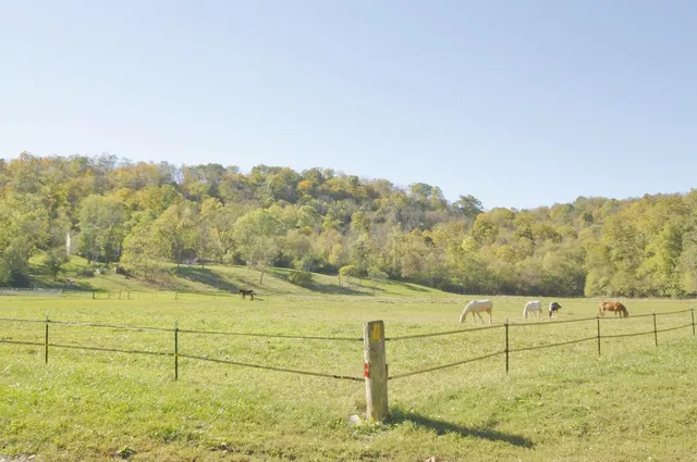 $599,900 | 7717 North Hogan Road, Aurora, IN 47001