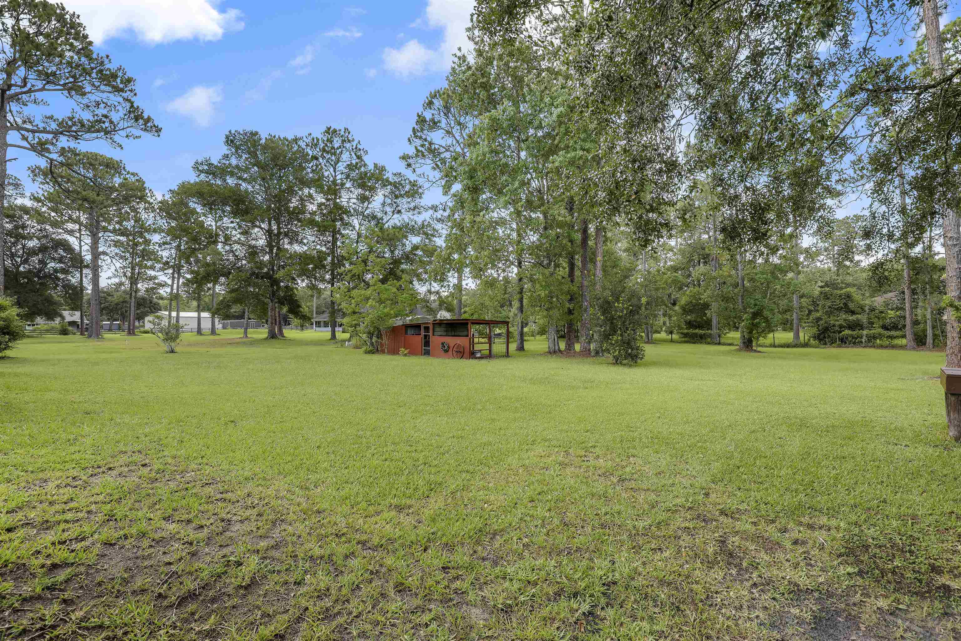 4485 Highway 16 St. Augustine, FL 32092 - Photo 50 of 59 a view of a trees in a park