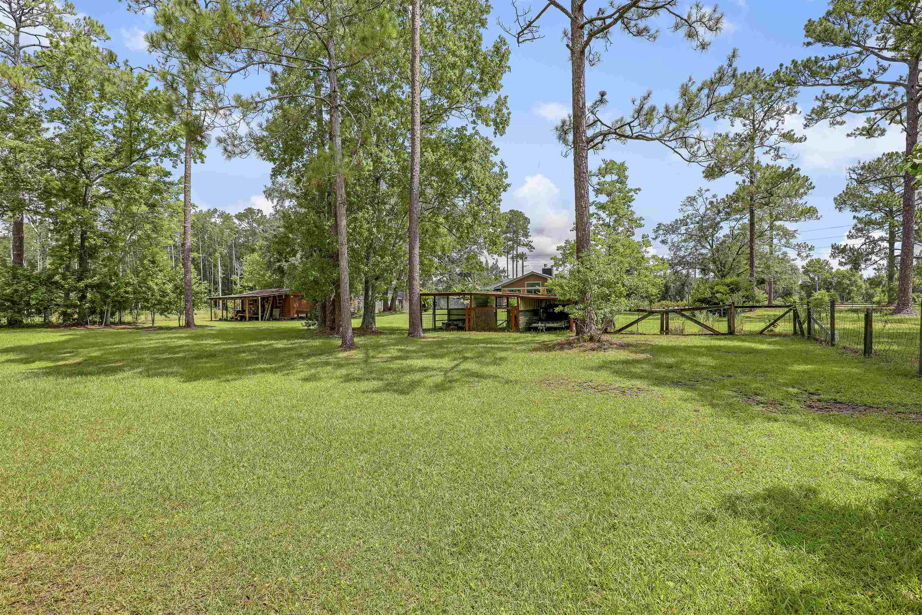 4485 Highway 16 St. Augustine, FL 32092 - Photo 51 of 59