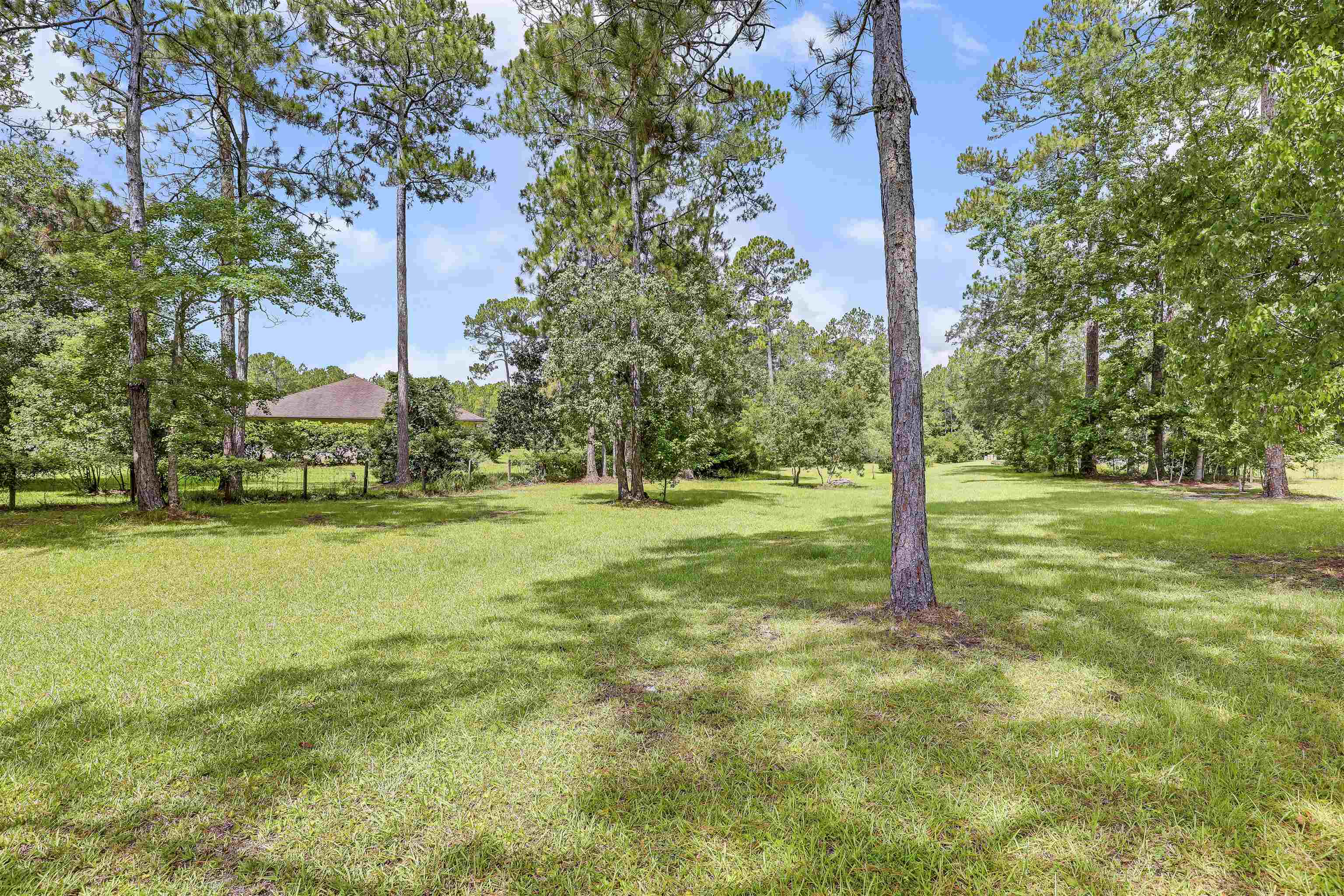 4485 Highway 16 St. Augustine, FL 32092 - Photo 53 of 59 a view of a trees with a yard