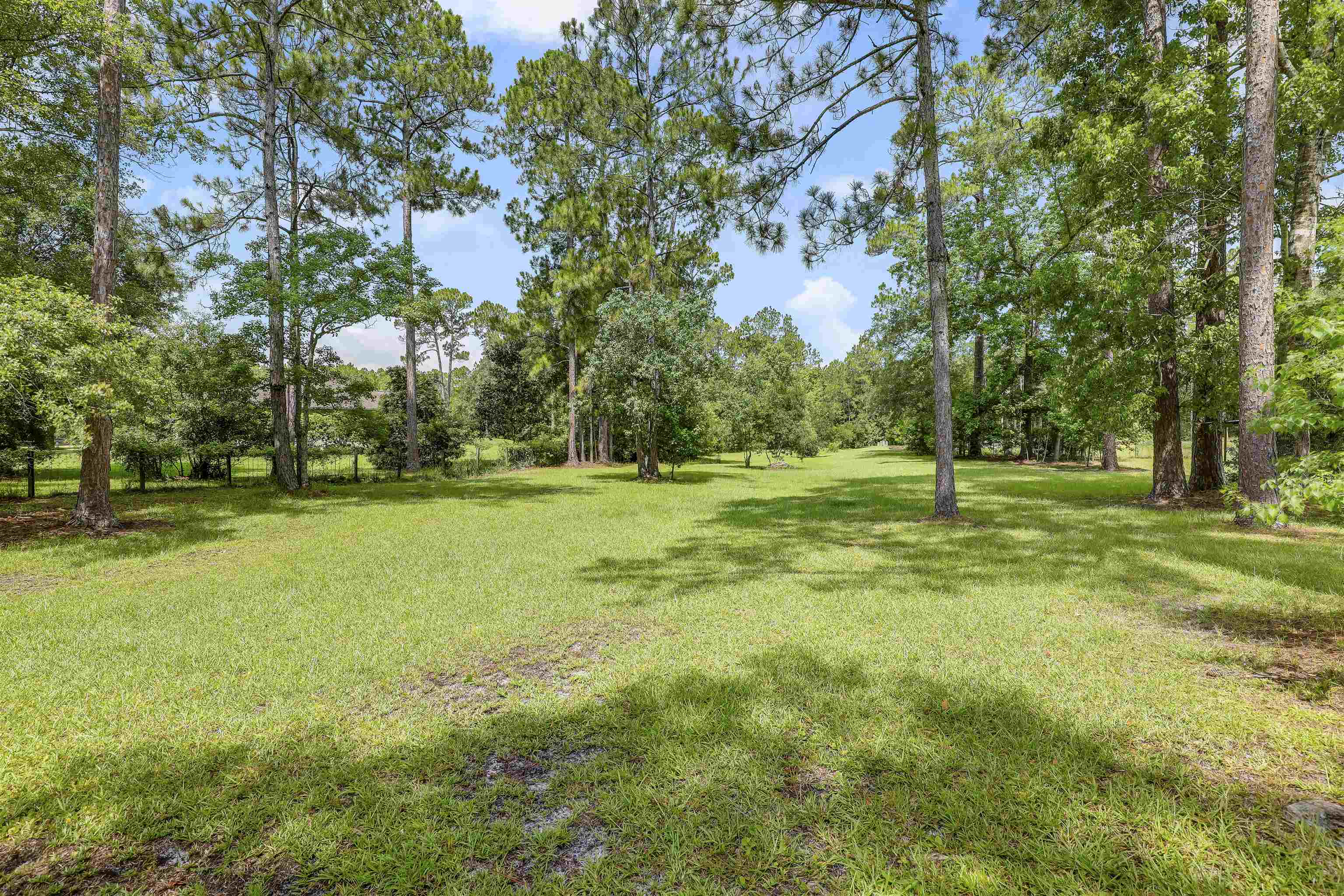 4485 Highway 16 St. Augustine, FL 32092 - Photo 54 of 59 a view of a trees in a park