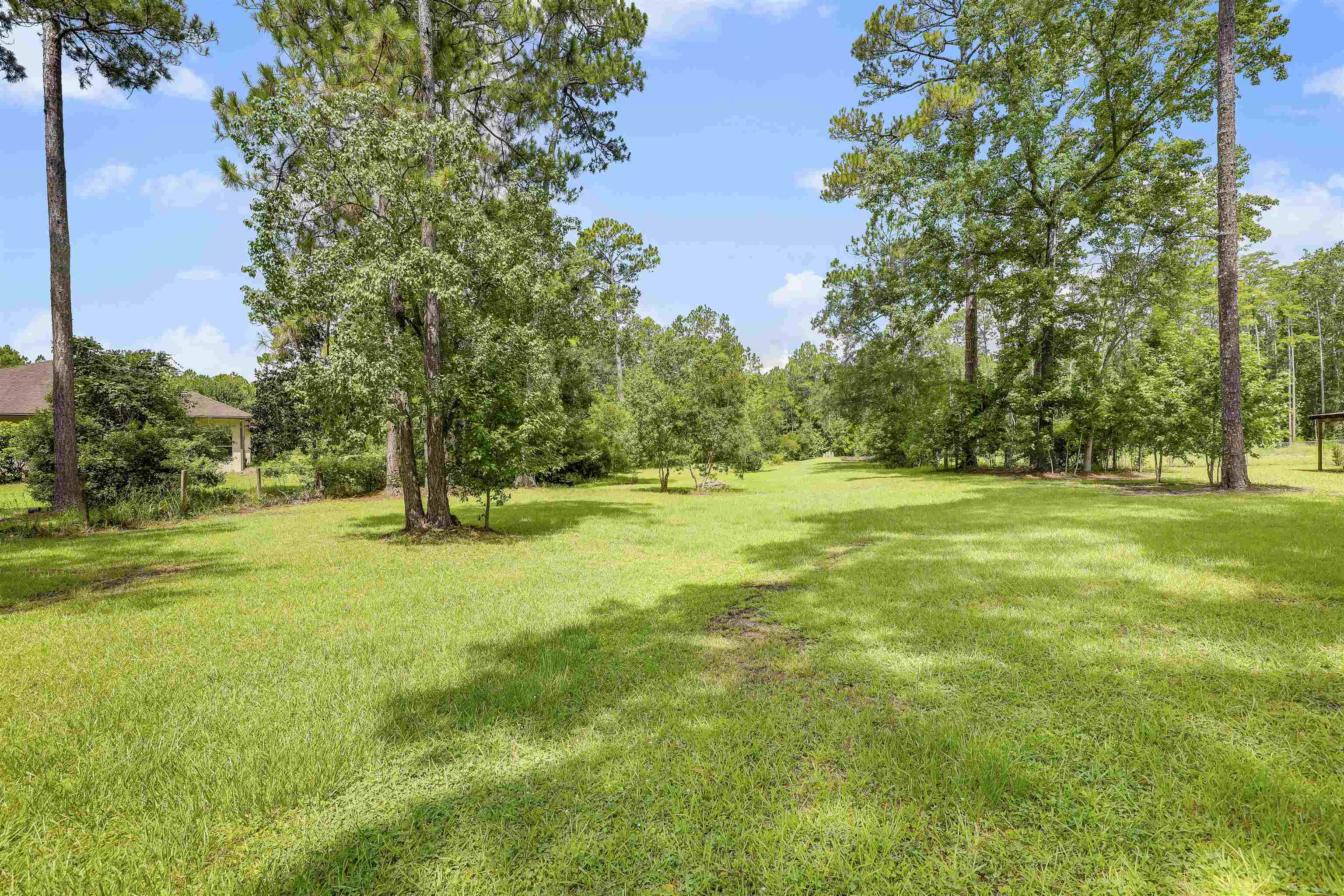 4485 Highway 16 St. Augustine, FL 32092 - Photo 55 of 59 a view of a trees with a yard