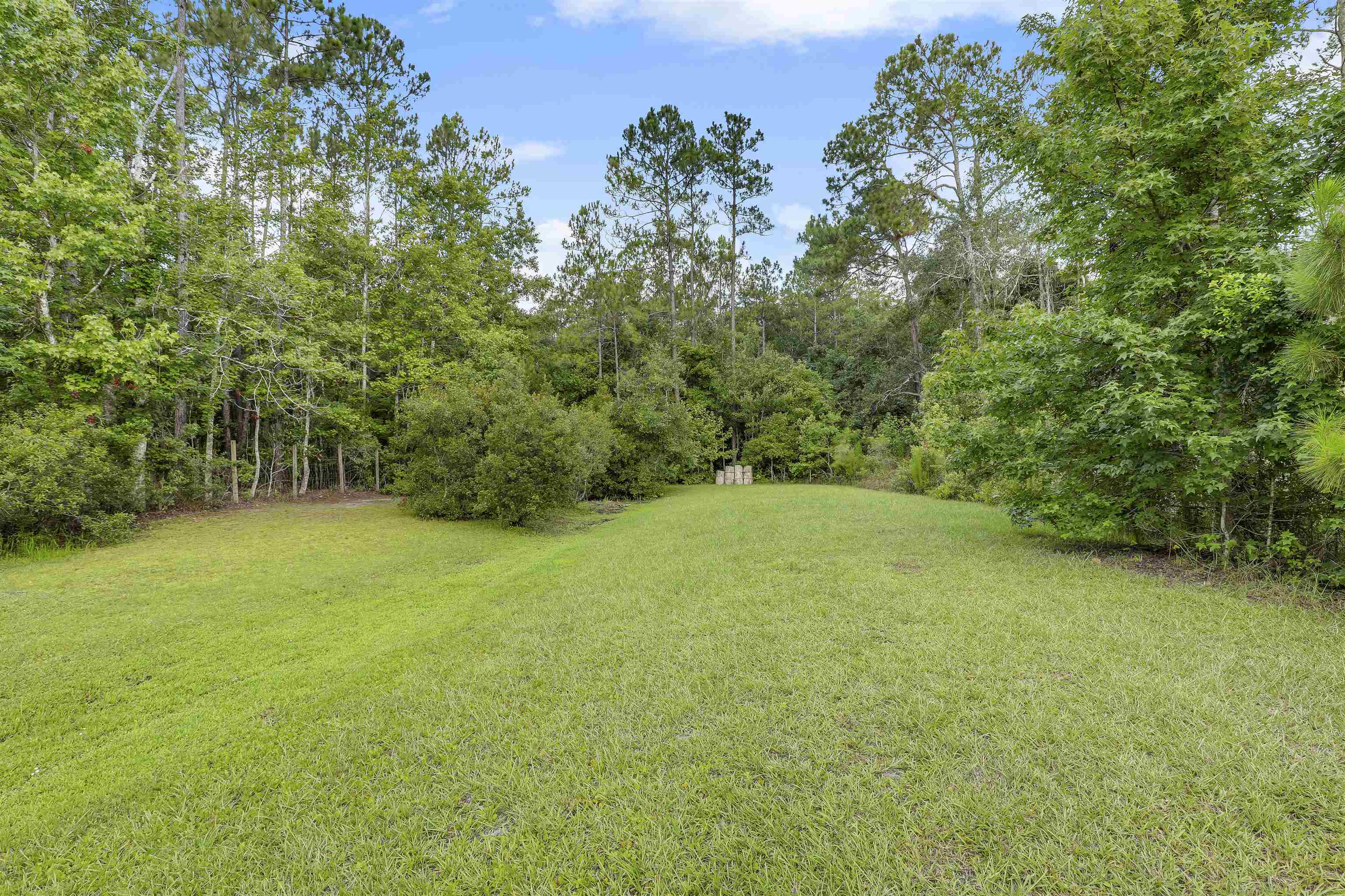 4485 Highway 16 St. Augustine, FL 32092 - Photo 56 of 59 a view of a big yard with a tree