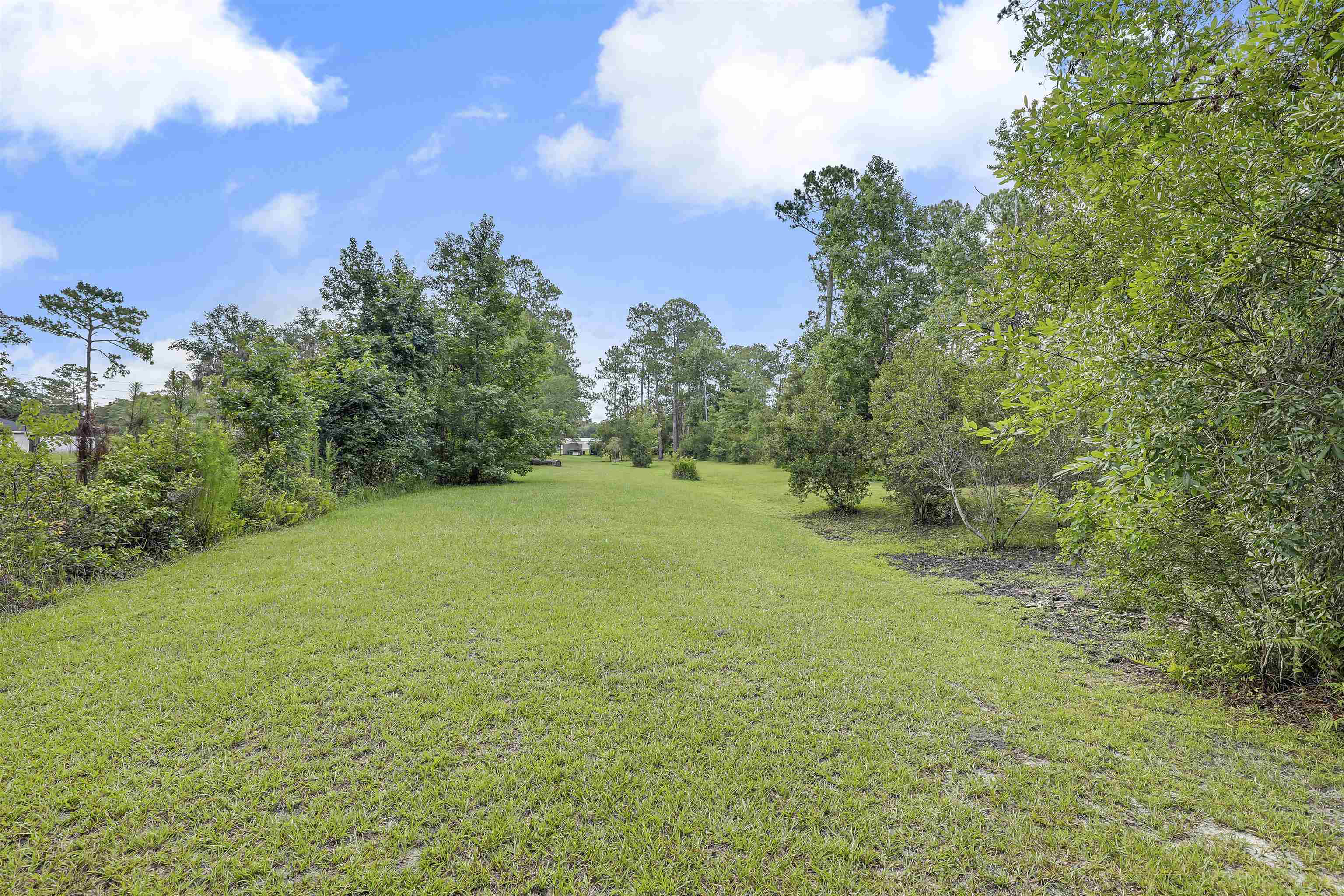 4485 Highway 16 St. Augustine, FL 32092 - Photo 57 of 59 a view of a yard with a tree
