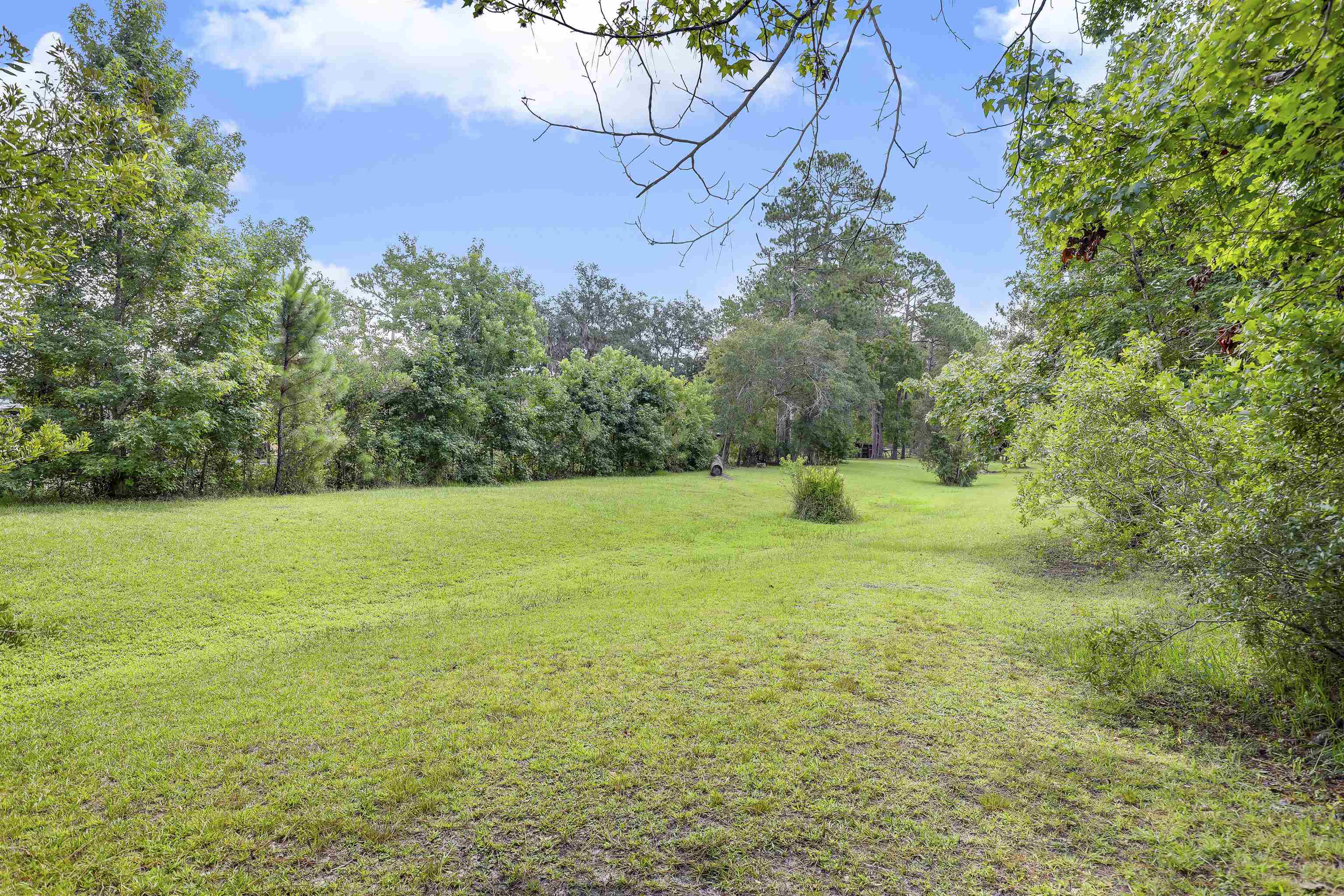 4485 Highway 16 St. Augustine, FL 32092 - Photo 58 of 59